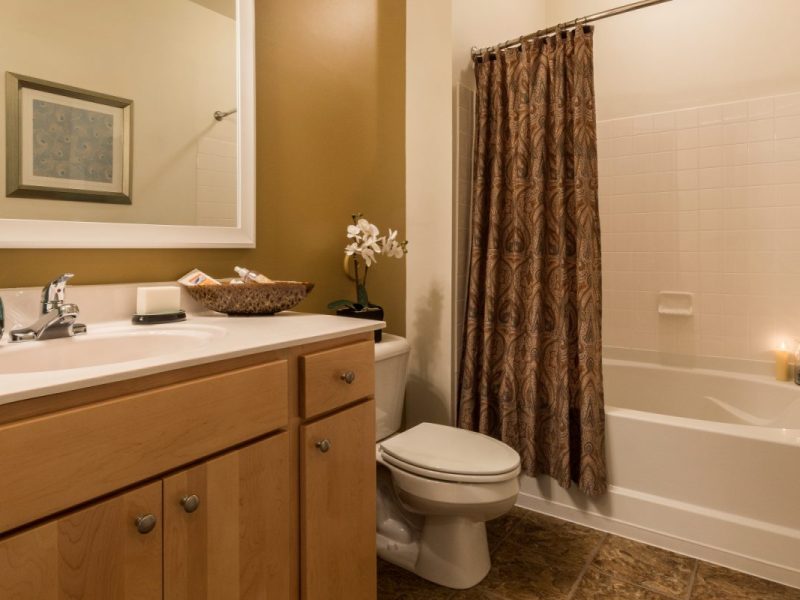This image is a premium apartment feature with contemporary baths that is spacious and accessible.