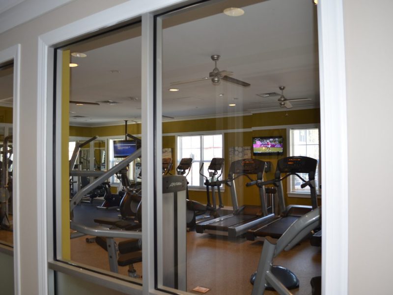This image shows multiple treadmill equipment that is generally for walking, running, or climbing while staying in the same place.
